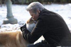 《忠犬八公的故事》和1987年日本电影《八公犬物语》,是改编自忠犬