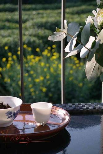 十二月令·茶舍(龙坞店)-"景色胜于一切的茶舍[玫瑰]
