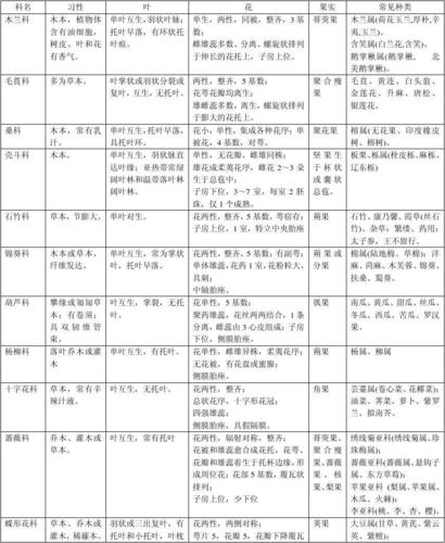 双子叶和单子叶植物科