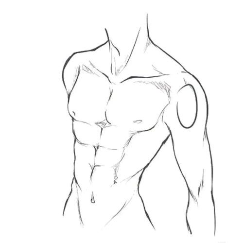 【线稿素材】你还不会画腹肌?教你画出让人羡慕的腹肌