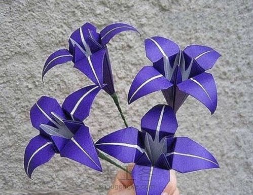 幼儿中班折花教案:引导幼儿继续学习按图示折纸的方法