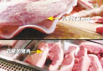 瘦肉精图片