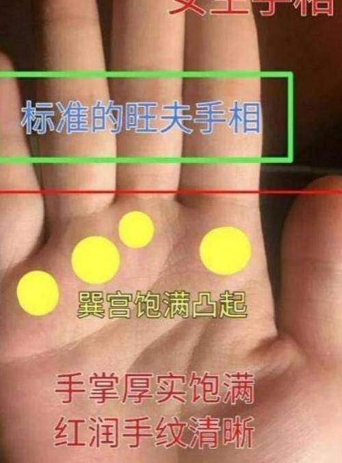 这种手相是标准的旺夫手相!