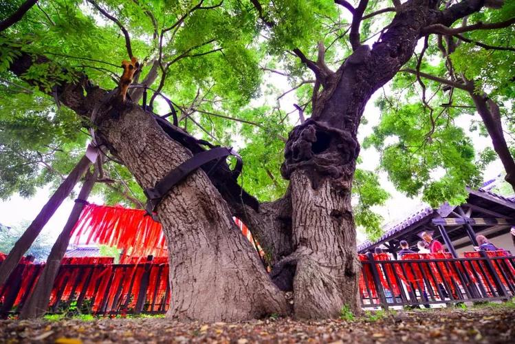 楹联诗碑,名家荟萃;楚汉命运,系于一井;项王手植槐,天下第一;千年梧桐