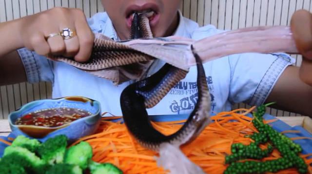 印度小伙生吃大蟒蛇,居然手撕蛇肉,打扰了!