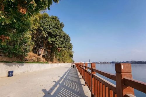 梧州泗洲岛,好靓!