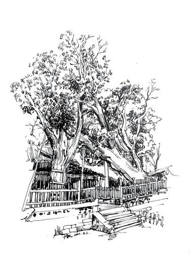 相爱的两棵树_绘画_寻找小红书绘画大神_文化_绘画
