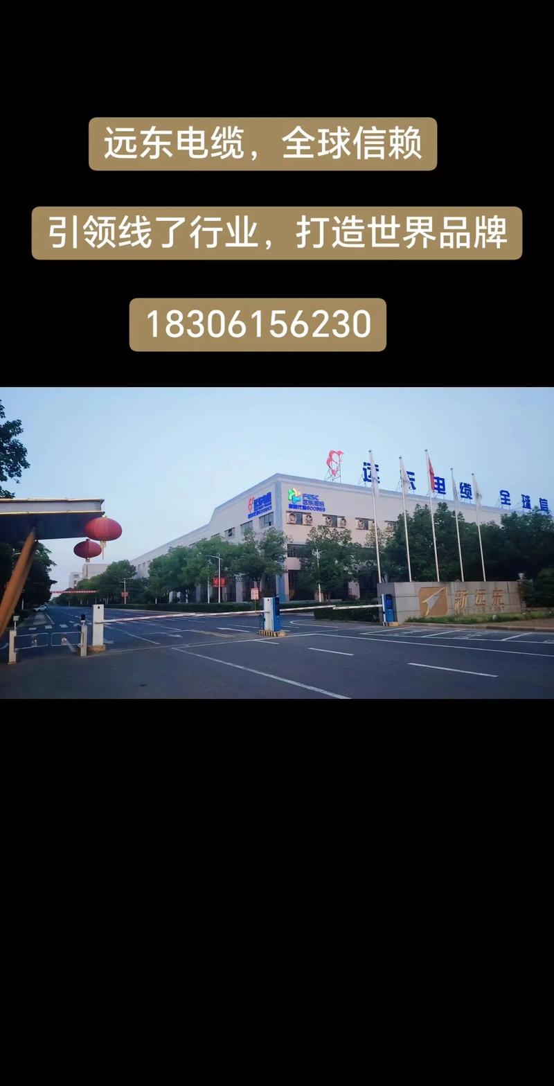 远东电缆有限公司.远东股份