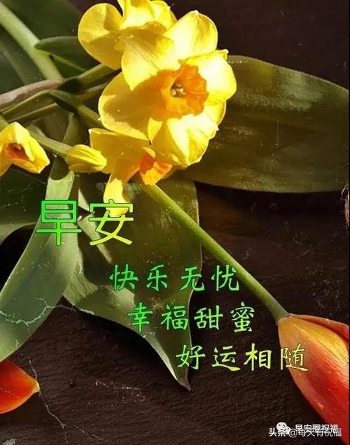 非常创意早上好图片问候语精选唯美简短早安问候表情包祝福语