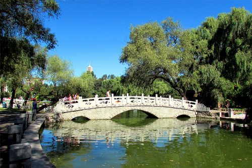 家乡美——抚顺劳动公园(夏景)
