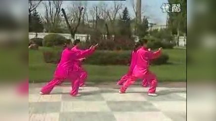 李正清杨式85式太极拳背面带口令演练(3)