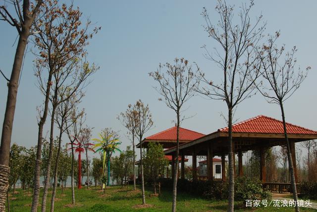 合肥丰乐生态园(外景)