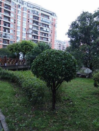 爱情公寓取景地,俯览黄兴公园的美景,直降60万,免个税,急抛