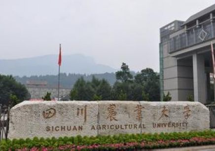 四川农业大学网络教育招生