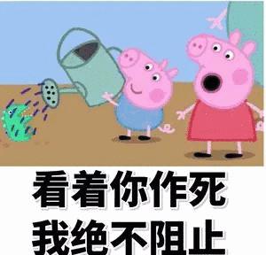 小猪佩奇看着你作死我绝不阻止