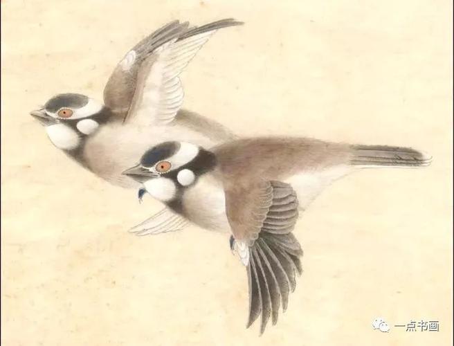 白头翁工笔画法
