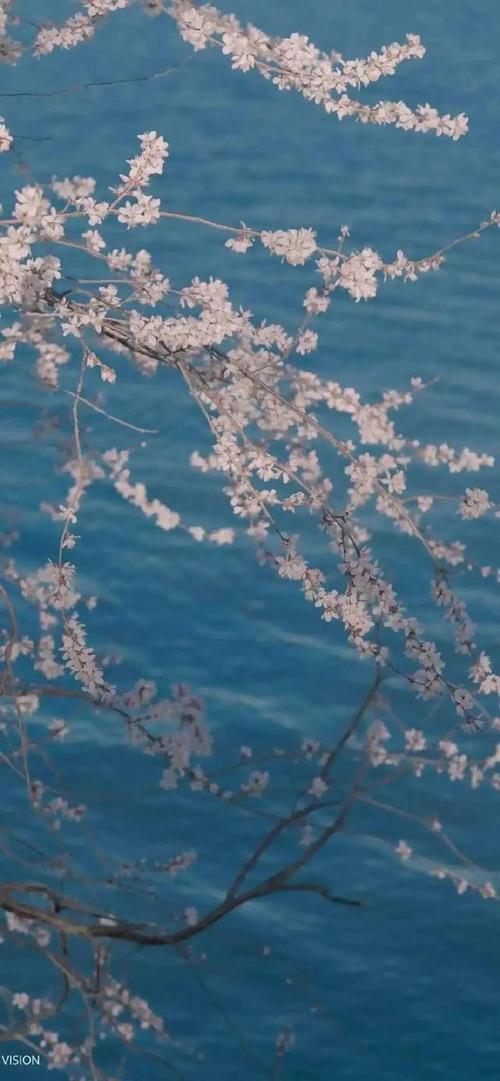 好看的全屏桌面026