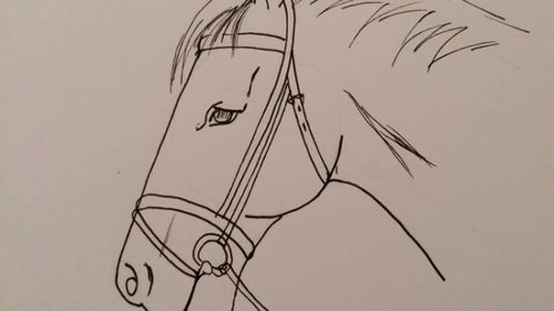【视频】简单又实用的马头简笔画手绘视频教程 有技巧画的形很准哦