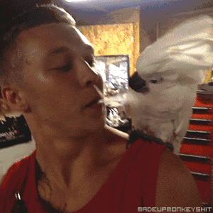 gif:这下你麻烦了,这位是斧头帮大哥!