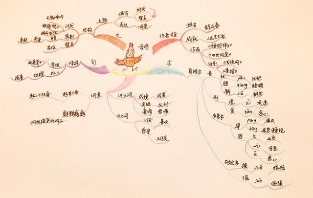 用思维导图复习课文《母鸡》,一步一步跟我走