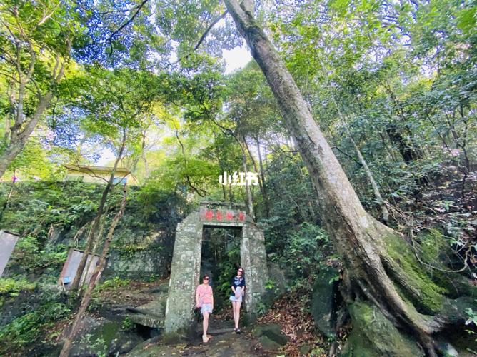 罗浮山玩瀑布的好地方_瀑布_景点_茶山观自由行热门攻略_工作_和大