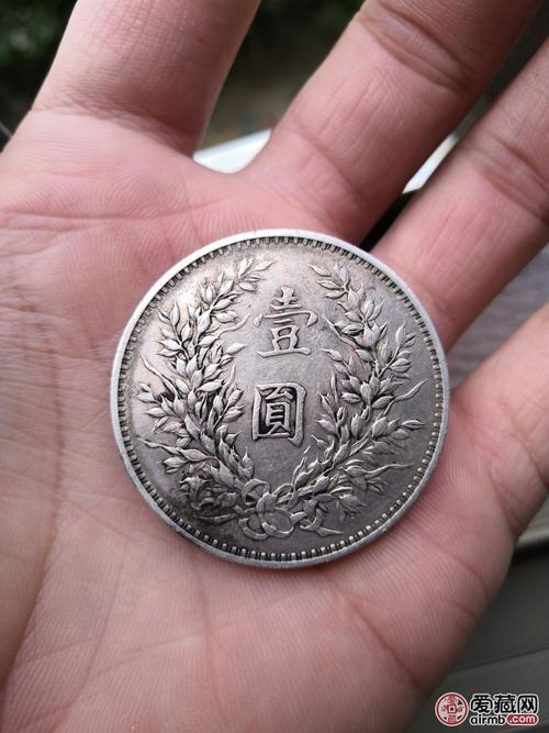 老师看看我的这枚袁大头真假,顺