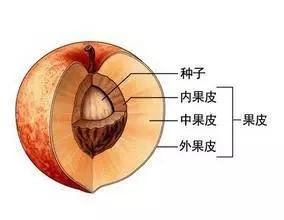 经典智商测试24题只需1道题便能测试出你做领导的潜质有多少