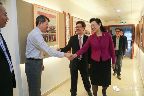 市委常委,统战部部长林洁带队赴深圳百泰投资控股集团调研