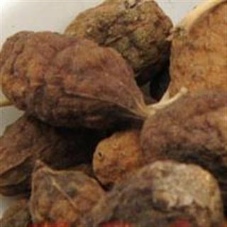 首页 根茎类 老鼠瓜薯  收藏商品