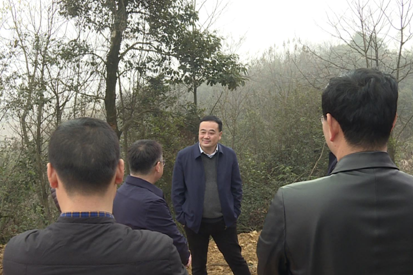 刘正仁现场调度新金宝项目征拆工作