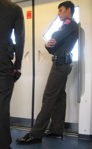 下载lofter我的照片书  |                 