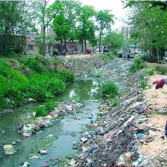 司机躲进路边臭水沟