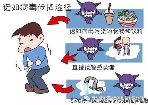 【艾格 卫生保健】——如何预防诺如病毒?