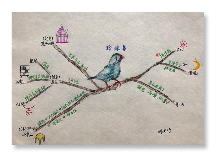 《珍珠鸟》之思维导图