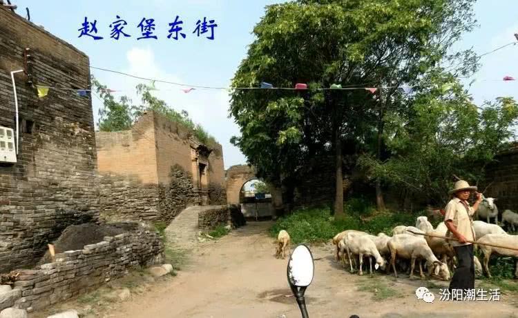 在山西汾阳有一个村子叫三泉