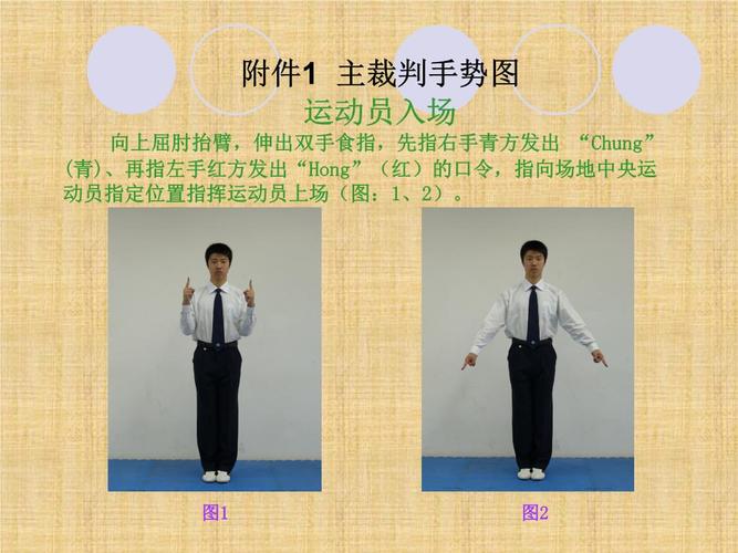 跆拳道竞赛规则(手势部分)精编版课件.ppt