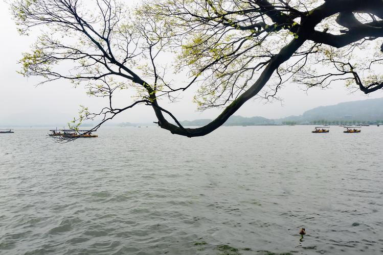 烟雨西湖溿
