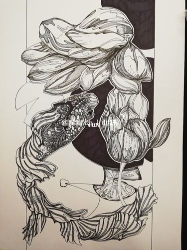 鱼|手绘黑白装饰画|插画|原创_装饰画_插画_手绘_针管