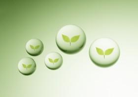 生命图片大全共22张