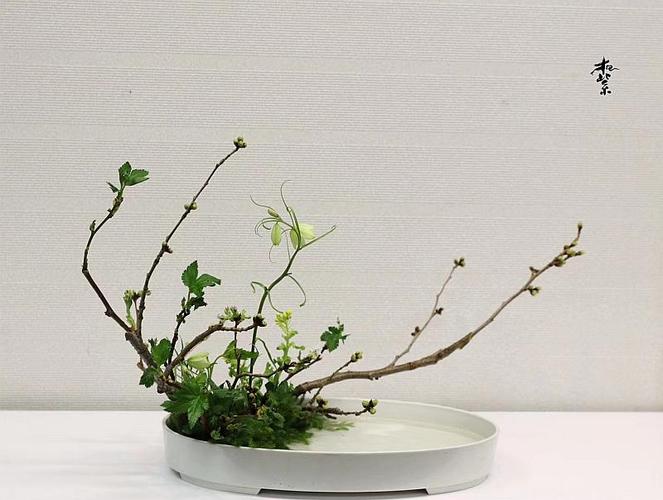 小原流花道特点