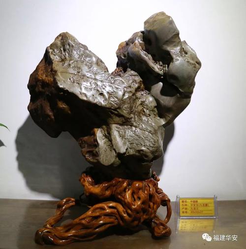 【华安】赏石大咖齐聚漳州,尽享九龙璧(华安玉)奇石文化