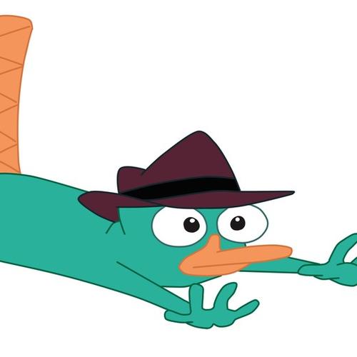 鸭嘴兽泰瑞 - 半次元 - acg爱好者社区