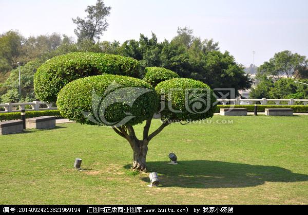 [正版商业] 造型树