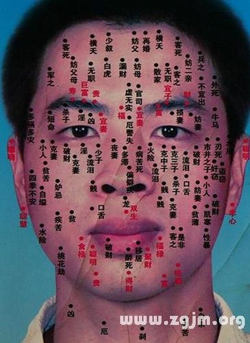 【面部痣相图,长痣面相图】
