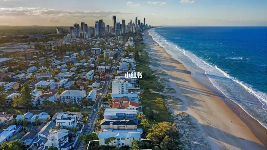双11来临,黄金海岸成单身贵族置业首选地!_单身_黄金