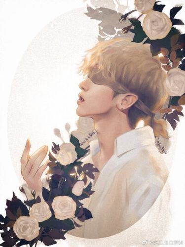 蔡徐坤漫画长图