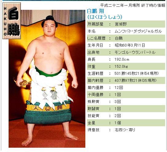 日本相扑横纲--朝青龙 退役, 不过后有来人--白鹏