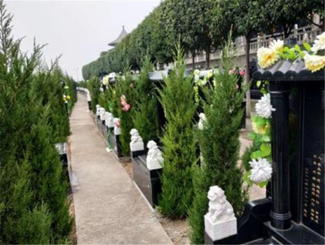 首页>正文 霸陵墓园 西安霸陵墓园 ,永久性墓园.前照后靠.正规墓园.