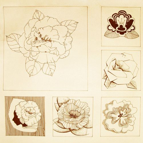 牡丹——植物变形