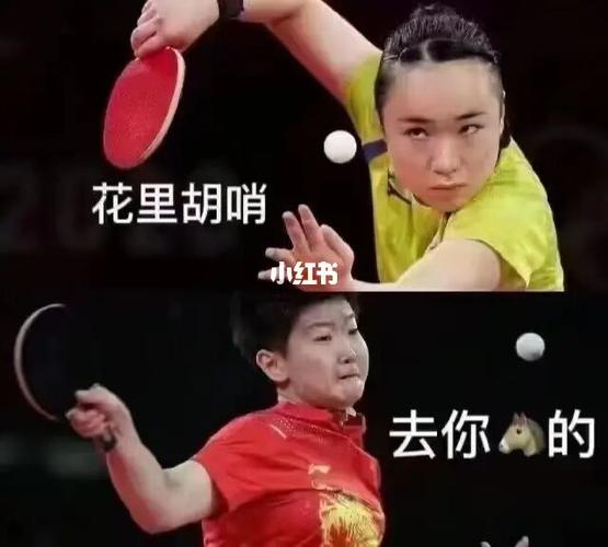 乒乒乓乓_奥运会_表情包_乒乓球_我最爱的表情包
